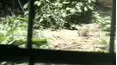 Funniest Pets & People
