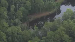 Mother charged in near-drowning incident that left her 3 kids hospitalized in Liberty County, sheriff's office says