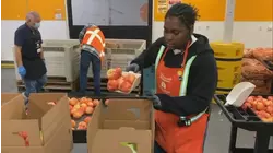 Santa Clara Co. giving Second Harvest Food Bank $4.5M during shutdown