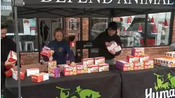 Long Island 'tofurkey' drive provides new spin on holiday meal giveaway