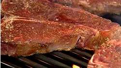 Make No Misteak