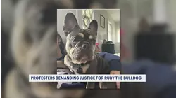 Cold weather causes water main breaks and traffic delays across New Jersey