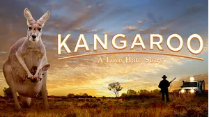 Kangaroo: A Love-Hate Story