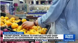 USDA says it will drain contingency funds to partially cover November SNAP benefits