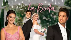 Save the Wedding