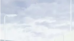 Noah's Secret