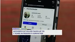 Bronx man accused of brutally killing cat faces up to 7 years in prison