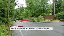 Scofieldtown Road in North Stamford damaged by downed tree and wires