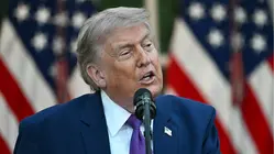 Key Primary Elections Results Demonstrate Trump's Grip on GOP