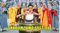 Shaolin Tamo Systique