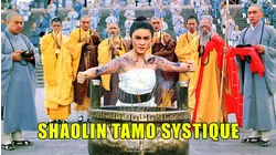 Shaolin Tamo Systique