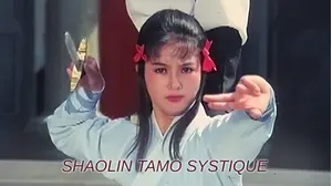 Shaolin Tamo Systique