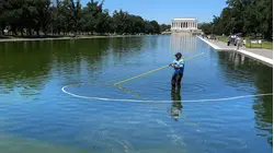 First Algae, Now the Reflecting Pool's New Paint is Peeling Away