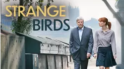 Strange Birds