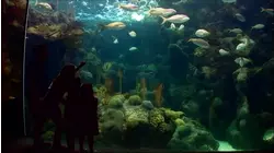 Florida Cavern Hiking