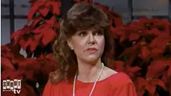 The Johnny Carson Show: Hollywood Icons Of The '80s - Sally Field (12/17/82)