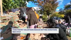 Volunteers aim to rescue rotting produce dumped on Crown Heights sidewalks