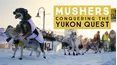 Mushers: Conquring the Yukon Quest