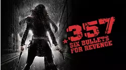 .357: Six Bullets for Revenge