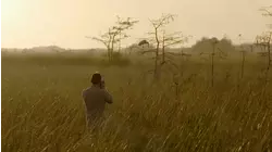 Everglades: A Fight For Glory