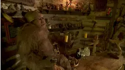 Summer House/Cabin and Workshop