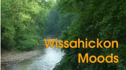 Wissahickon Moods