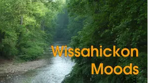 Wissahickon Moods