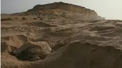 Arabia: Kingdom of the Sun