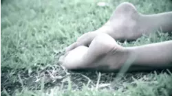 South African Strangler