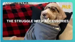 Dr. Phur | The Struggle with Accessories