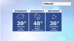 Light rain creates patches of fog overnight in The Bronx