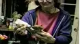 Funniest Pets & People