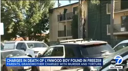Lynwood father, grandmother appear in court after boy found dead in ice-filled cooler