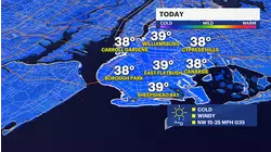 Cold & breezy finish to the week, snow showers this weekend for Brooklyn