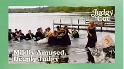 Judgy Cat | Mildly Amused, Deeply Judgy