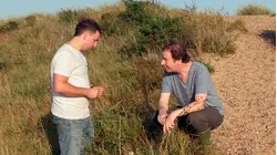 Central Ireland Fish