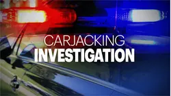 20-year-old man injured in violent Marine Park carjacking