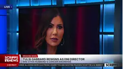 Director of National Intelligence Tulsi Gabbard to resign next month