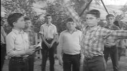 The Boy Scout Story