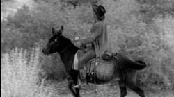 Adventures of Champion: Ep 1 - The Saddle Tramp (1955)