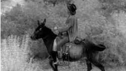 Adventures of Champion: Ep 1 - The Saddle Tramp (1955)