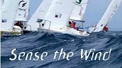 Sense The Wind