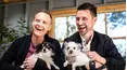 The Dog House Australia