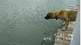 Life's Funniest Moments