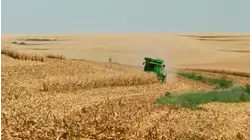 Nebraska soybean farmers on America's trade war: 'We are losing money'