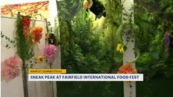 Main Street Connecticut: Showcasing all the top stops in Fairfield