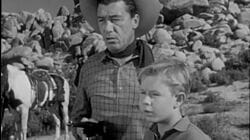 The Medicine Man Mystery