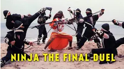 Ninja: The Final Duel