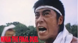 Ninja: The Final Duel