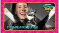 Countdown: The Funniest Pets